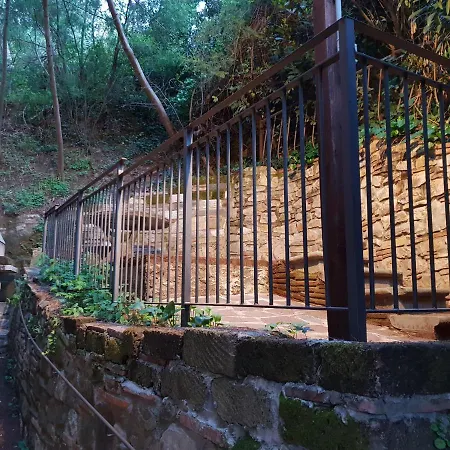 Vacation Tuscany Pisa-lucca 2